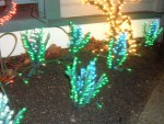 Dec 2005 Garden de Lights 03 blue hyacinth.jpg