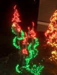 Dec 2005 Garden de Lights 05 canna lilies.jpg