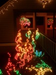 Dec 2005 Garden de Lights 06.jpg