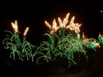 Dec 2005 Garden de Lights 07 pampas grass.jpg
