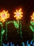Dec 2005 Garden de Lights 09 sun flowers.jpg