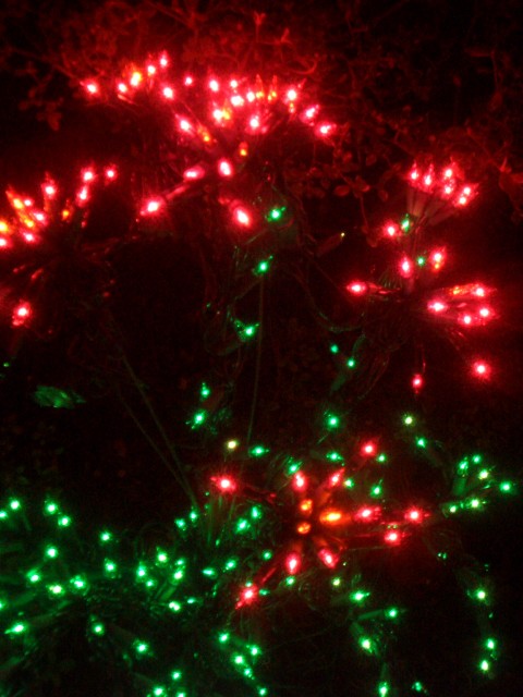 Dec 2005 House lights 05.jpg