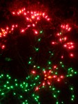 Dec 2005 House lights 05.jpg