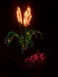 Dec 2005 House lights 06a pampas grass & mondo.jpg