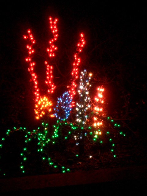 Dec 2005 House lights 07a.jpg