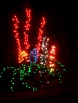Dec 2005 House lights 07a.jpg