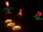 Dec 2005 House lights 09.jpg