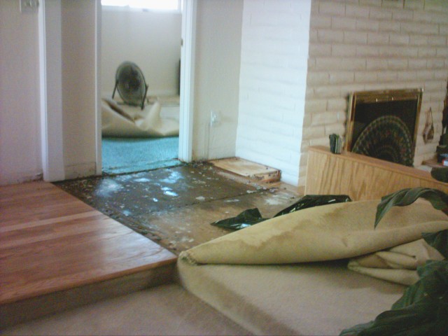 Water damage July 29 entry toward bedroom.JPG