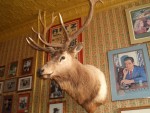 05 June Montana; Red Lodge 08 Bogarts.jpg