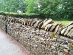 UK-July-06 6th SW05 St Fagans Welsh Life Museum fence.jpg