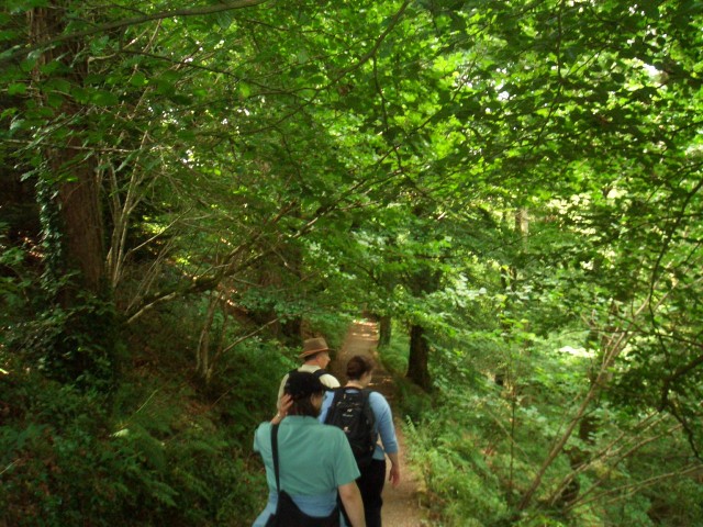 UK-July-06 13th Cornwall-Devon Lydford Gorge 02 upper trail.jpg
