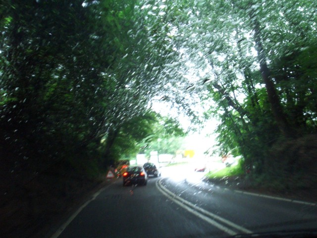 UK-July-06 canopy.jpg