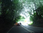 UK-July-06 canopy.jpg