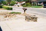 04-Jun front yard tree ring & flagstones.jpg