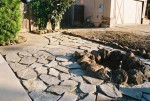 04-Jun front yard tree ring & flagstones2.jpg