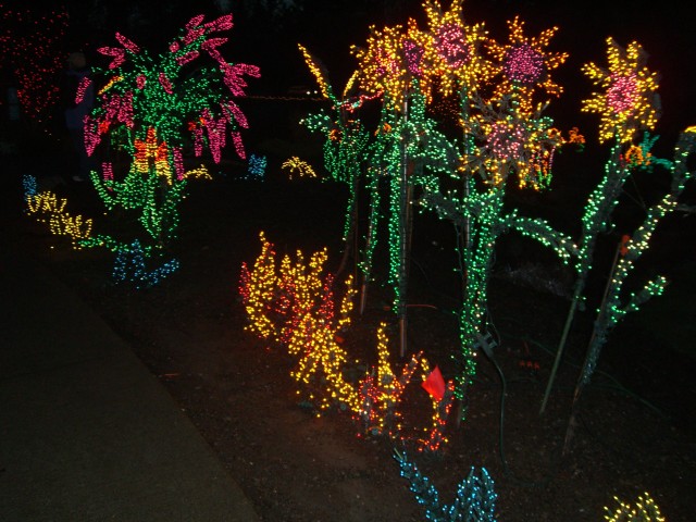Dec 2006 Garden d'Lights 01.jpg
