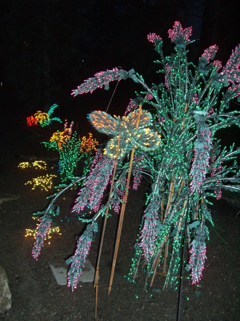 Dec 2006 Garden d'Lights 02.jpg