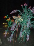 Dec 2006 Garden d'Lights 02.jpg