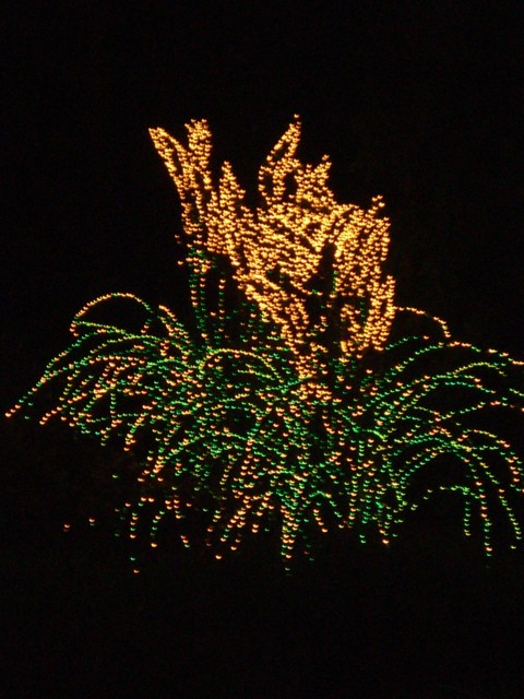 Dec 2006 Garden d'Lights 04.jpg