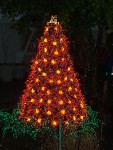Dec 2006 Garden d'Lights 05.jpg