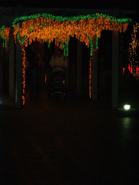 Dec 2006 Garden d'Lights 08.jpg