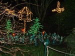 Dec 2006 Garden d'Lights 09.jpg