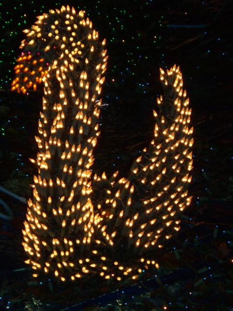 Dec 2006 Garden d'Lights 10.jpg