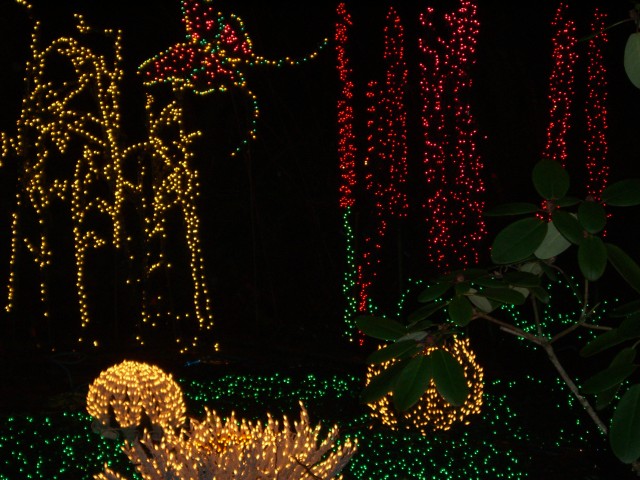 Dec 2006 Garden d'Lights 11.jpg