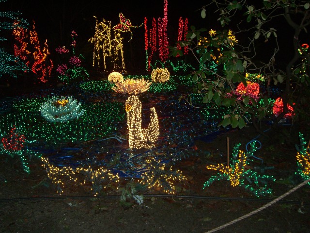 Dec 2006 Garden d'Lights 12.jpg