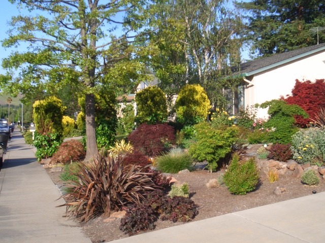 29 Apr 07 Yard in Spring 02 Front.jpg