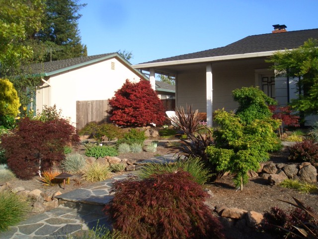 29 Apr 07 Yard in Spring 03 Front.jpg