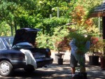 2005 July Wildwood Japanese Maples 09 Ric packing car.jpg