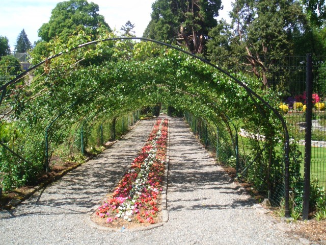 07 May-Jun 011 Tacoma Pt Defiance Rose Garden.JPG