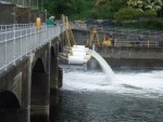 07 May-Jun 086 Seattle Hiram Chittenden Locks smolt flumes.JPG