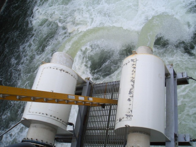 07 May-Jun 089 Seattle Hiram Chittenden Locks smolt flumes.JPG