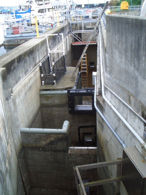 07 May-Jun 091 Seattle Hiram Chittenden Locks fish ladder closed for cleaning.JPG