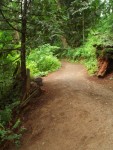 07 May-Jun 124 Snoqualmie Falls trail to river.JPG