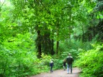 07 May-Jun 127 Snoqualmie Falls trail to river.JPG