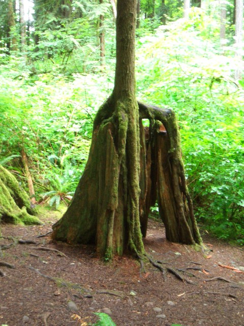 07 May-Jun 129 Snoqualmie Falls trail to river.JPG
