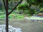 07 May-Jun 157 Seattle Japanese Garden.JPG