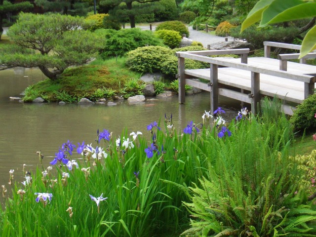 07 May-Jun 161 Seattle Japanese Garden.JPG