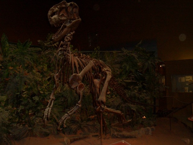 Oct 2007 Cody 2-03 Wyoming Dinosaur Center.jpg