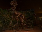 Oct 2007 Cody 2-03 Wyoming Dinosaur Center.jpg