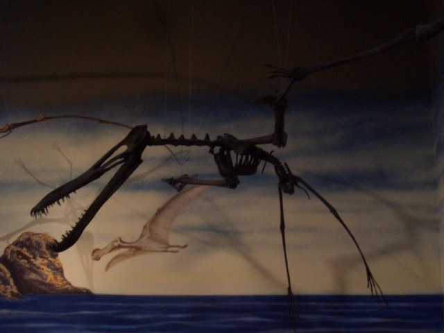 Oct 2007 Cody 2-04 Wyoming Dinosaur Center.jpg
