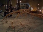 Oct 2007 Cody 2-06 Wyoming Dinosaur Center.jpg