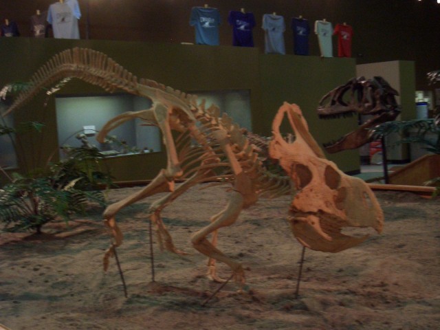 Oct 2007 Cody 2-07 Wyoming Dinosaur Center.jpg