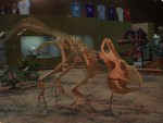 Oct 2007 Cody 2-07 Wyoming Dinosaur Center.jpg