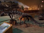 Highlight for Album: Wyoming Dinosaur Center;
Thermopolis, WY
