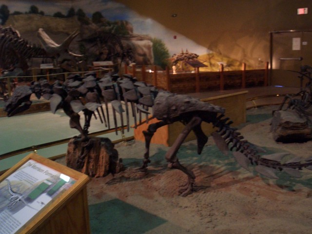 Oct 2007 Cody 2-08 Wyoming Dinosaur Center.jpg
