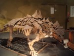 Oct 2007 Cody 2-12 Wyoming Dinosaur Center.jpg